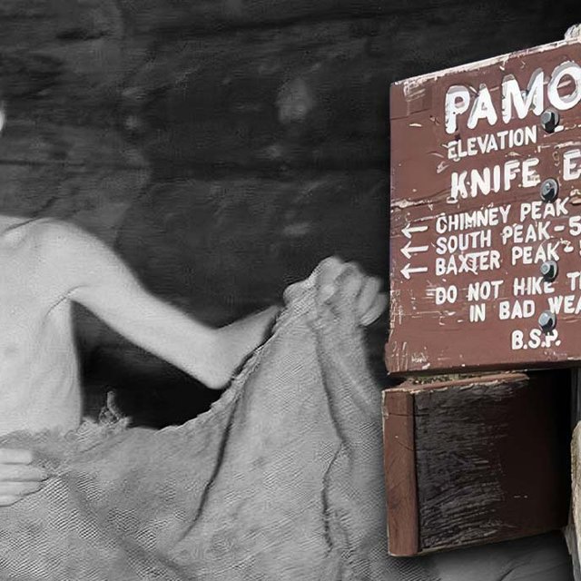 The True Story of Donn Fendler, the 12-Year-Old Who Survived Alone in the Wilderness