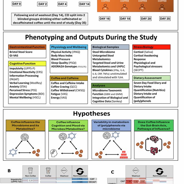Habitual coffee intake shapes the gut microbiome and modifies host physiology and…