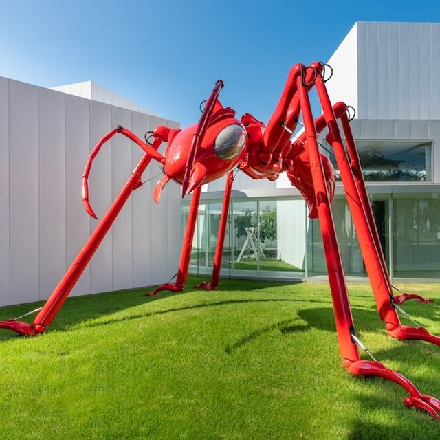 5 Art Exhibitions Worth Traveling for in Japan This Summer · Flipso