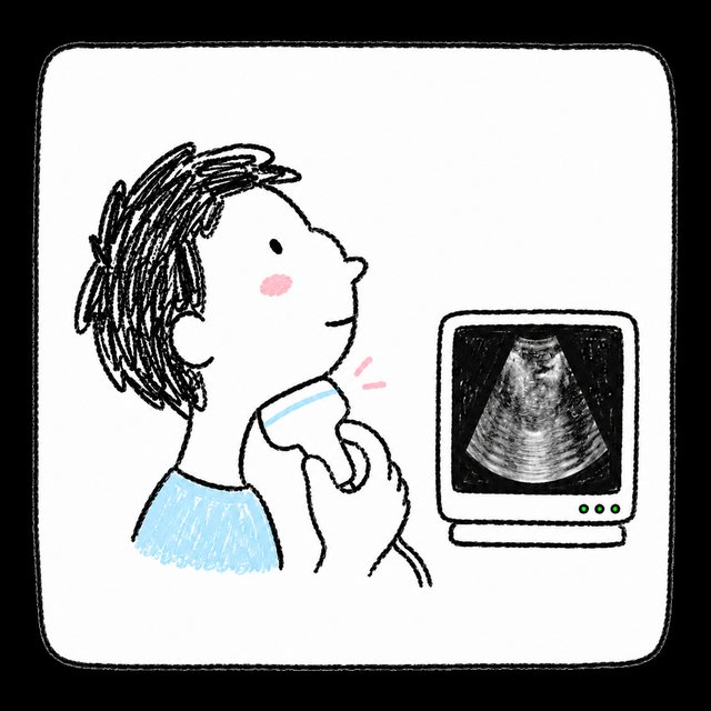 Silent speech with ultrasound · Flipso